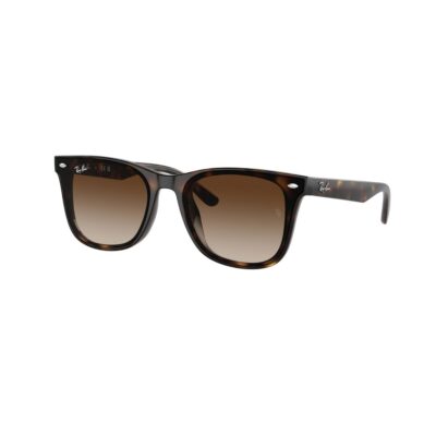 Ray-Ban RB4420 710/13 65 Brown Tortoise/Brown