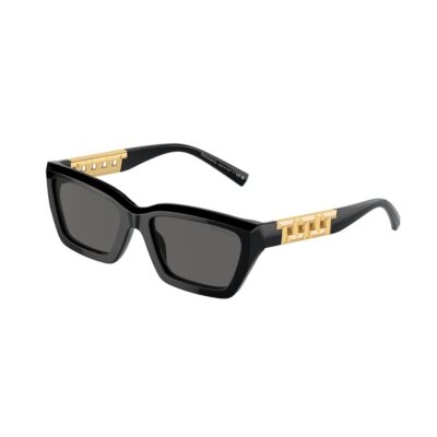 Tiffany & Co. TF4213 8001S4 54 Black/Grey Gradient