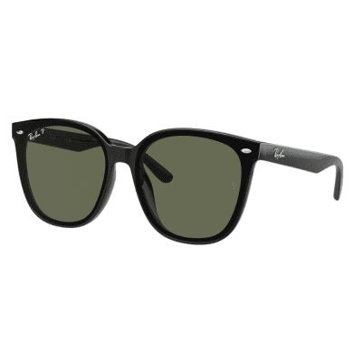 Ray-Ban RB4423D 601/9A-66 Black/Dark Green Polarised