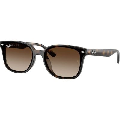 Ray-Ban RB4461D 710 13 64 Havana/Brown Gradient