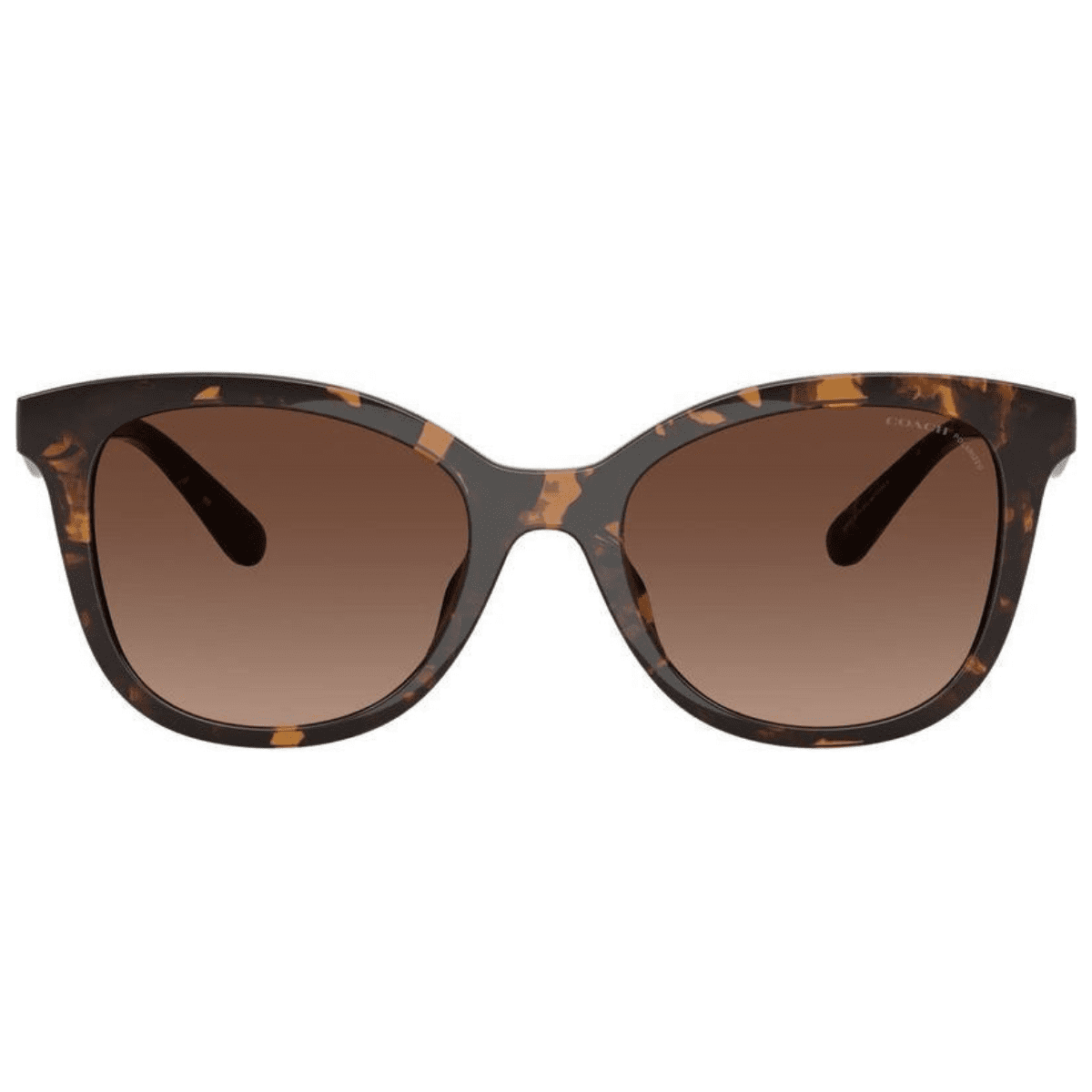 Coach 8419U 5120T5 55 Dark Tortoise Brown Polarised side sunglass culture luxury sunnies store coomera gold coast