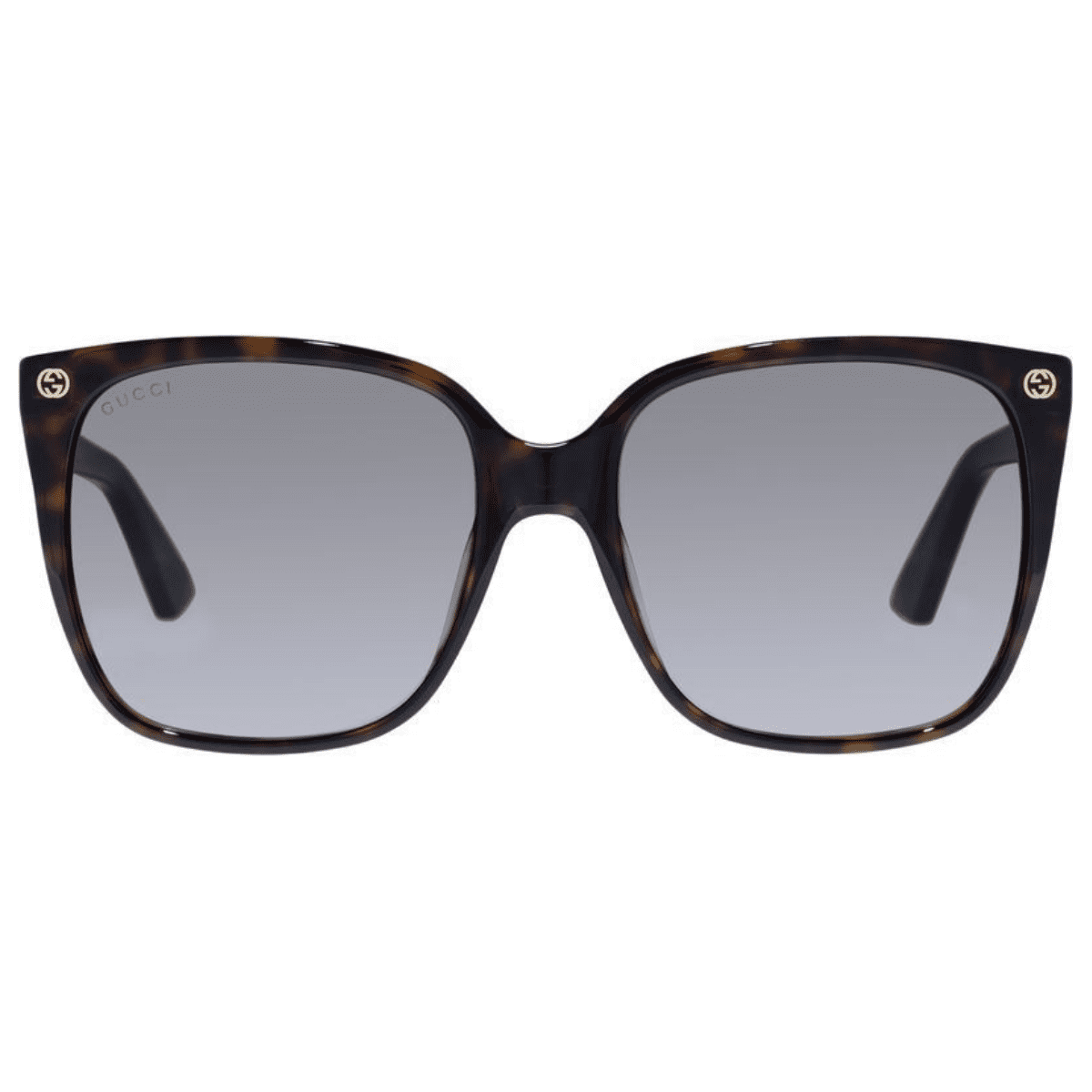 GG0022S 003 HAVANA large rounded square classic darl tort sunglass culture luxury sunnies store coomera online new classic