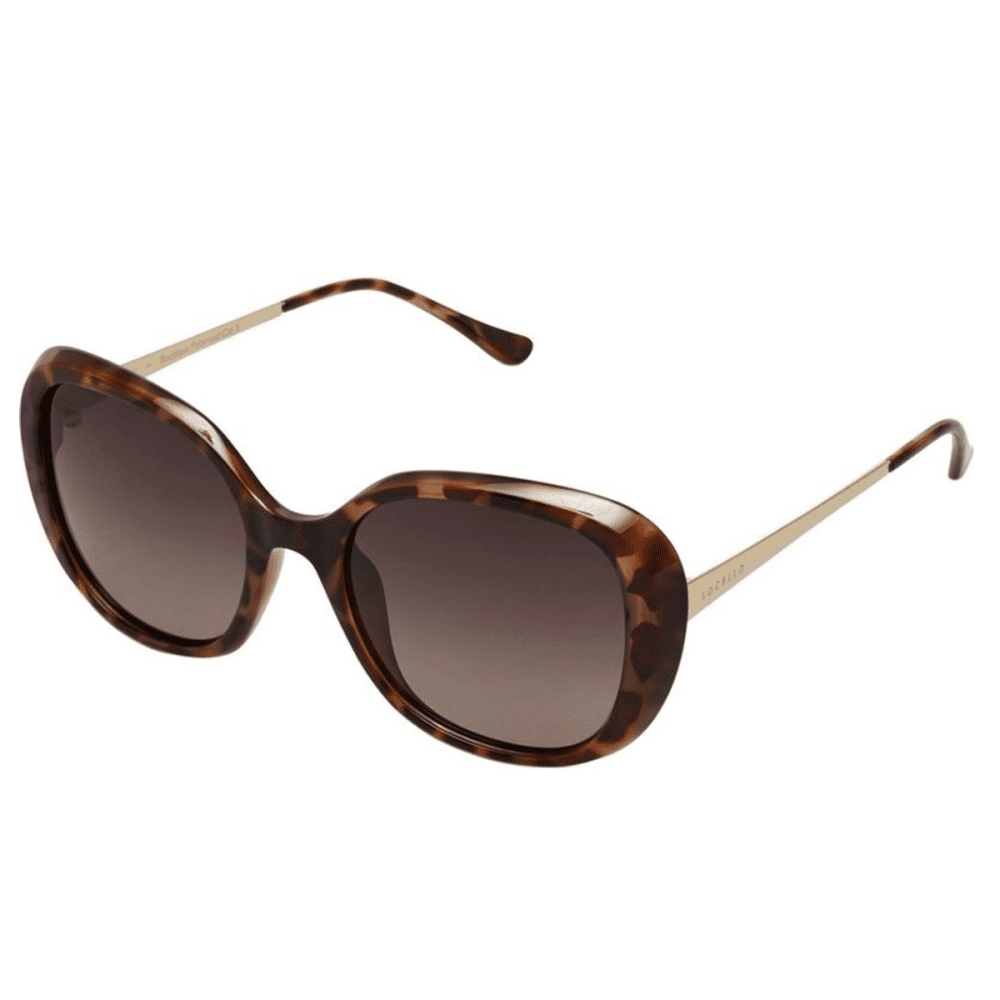 Sunglass Culture Luxury sunnies store online gold coast Coomera LOCELLO AVERY 3922E TORT BROWN