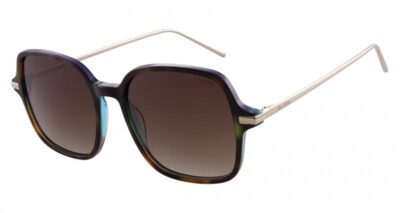 Bill Bass Babette 28023 Dark Demi Gradient/Brown Polarised