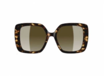 Privé Revaux So Famous Tort/Brown Polarised