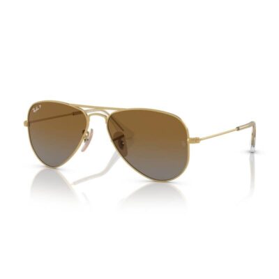 Ray-Ban Kids RJ9506S 223/T5 52 Gold/Brown Polarised